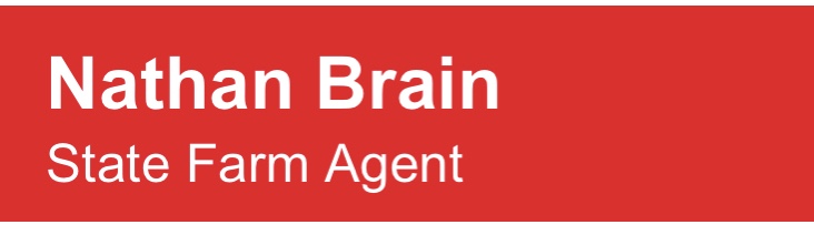 State Farm Nathan Brain - Silver