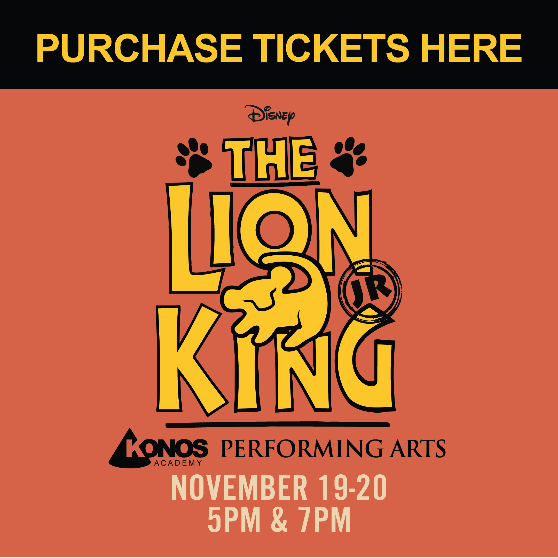Purchase Lion King tickets here